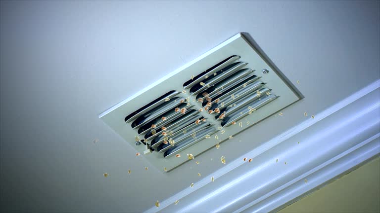 Best HVAC System Cleaning  in Mchenry, IL